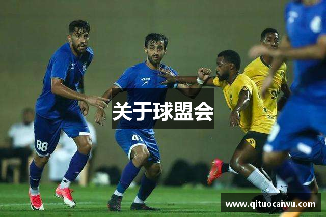 关于球盟会
